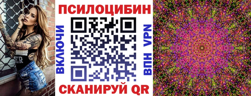 цены   Вихоревка  Галлюциногенные грибы Psilocybe 